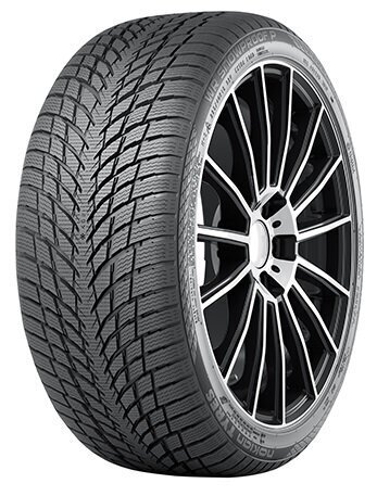 Nokian WR Snowproof P 255/40R18 99 V XL цена и информация | Talverehvid | hansapost.ee