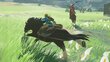 The Legend of Zelda: Breath of the Wild NSW hind ja info | Konsooli- ja arvutimängud | hansapost.ee