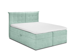 Кровать Mazzini Кровати Echaveria 140x200 см, светло-зеленая цена и информация | Кровати | hansapost.ee