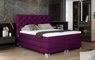 Электрическая кровать NORE Clover 15, 140x200, красная цена и информация | Кровати | hansapost.ee