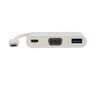 Deltaco USBC-1069, USB-C, VGA, 0.1m цена и информация | USB adapterid ja jagajad | hansapost.ee