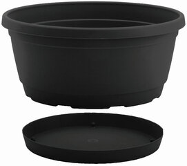 Nicoli чаша с тарелкой Rumba 18, антрацит цена и информация | Ящики для рассады | hansapost.ee