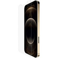 Apple iPhone 12 Pro Max ekraanikaitseklaas price and information | Phone protective covers and cases | hansapost.ee