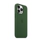 iPhone 13 Pro Silicone Case with MagSafe, Clover hind ja info | Telefonide kaitsekaaned ja -ümbrised | hansapost.ee