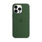 iPhone 13 Pro Silicone Case with MagSafe, Clover цена и информация | Telefonide kaitsekaaned ja -ümbrised | hansapost.ee