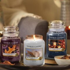 Lõhnaküünal Yankee Candle Autumn Pearl 104 g hind ja info | Küünlad, küünlajalad | hansapost.ee