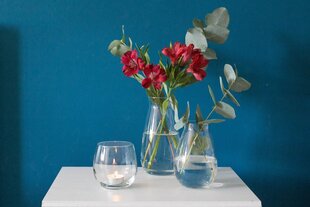 Набор ваз,BULB, 3 шт. цена и информация | Bulb Мебель и домашний интерьер | hansapost.ee