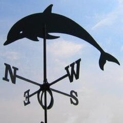 Delfiin tuulelipp hind ja info | Aiakujundus ja aiakaunistused | hansapost.ee