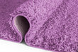 Vaip Shaggy Lavender, 140x190 cm цена и информация | Vaibad | hansapost.ee