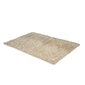 Vaip Shaggy Light Greige, 60x100 cm hind ja info | Vaibad | hansapost.ee