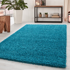 Vaip Ayyildiz Shaggy Dream Turkis 4000, 120x170 cm hind ja info | Vaibad | hansapost.ee