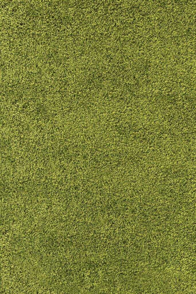 Vaip Ayyildiz Shaggy Dream Green 4000, 200x290 cm hind ja info | Vaibad | hansapost.ee