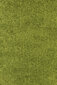 Vaip Ayyildiz Shaggy Dream Green 4000, 60x110 cm hind ja info | Vaibad | hansapost.ee
