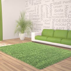 Ковер Ayyildiz Shaggy Dream Green 4000, 60x110 см   цена и информация | Ковры | hansapost.ee