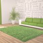 Vaip Ayyildiz Shaggy Dream Green 4000, 60x110 cm hind ja info | Vaibad | hansapost.ee