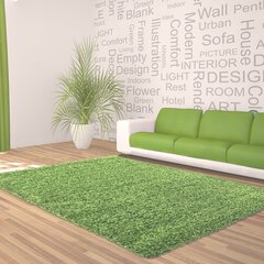 Ковер Ayyildiz Shaggy Dream Green 4000, 80x150 см   цена и информация | Коврики | hansapost.ee