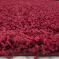 Vaip Ayyildiz Shaggy Dream Red 4000, 60x110 cm hind ja info | Vaibad | hansapost.ee