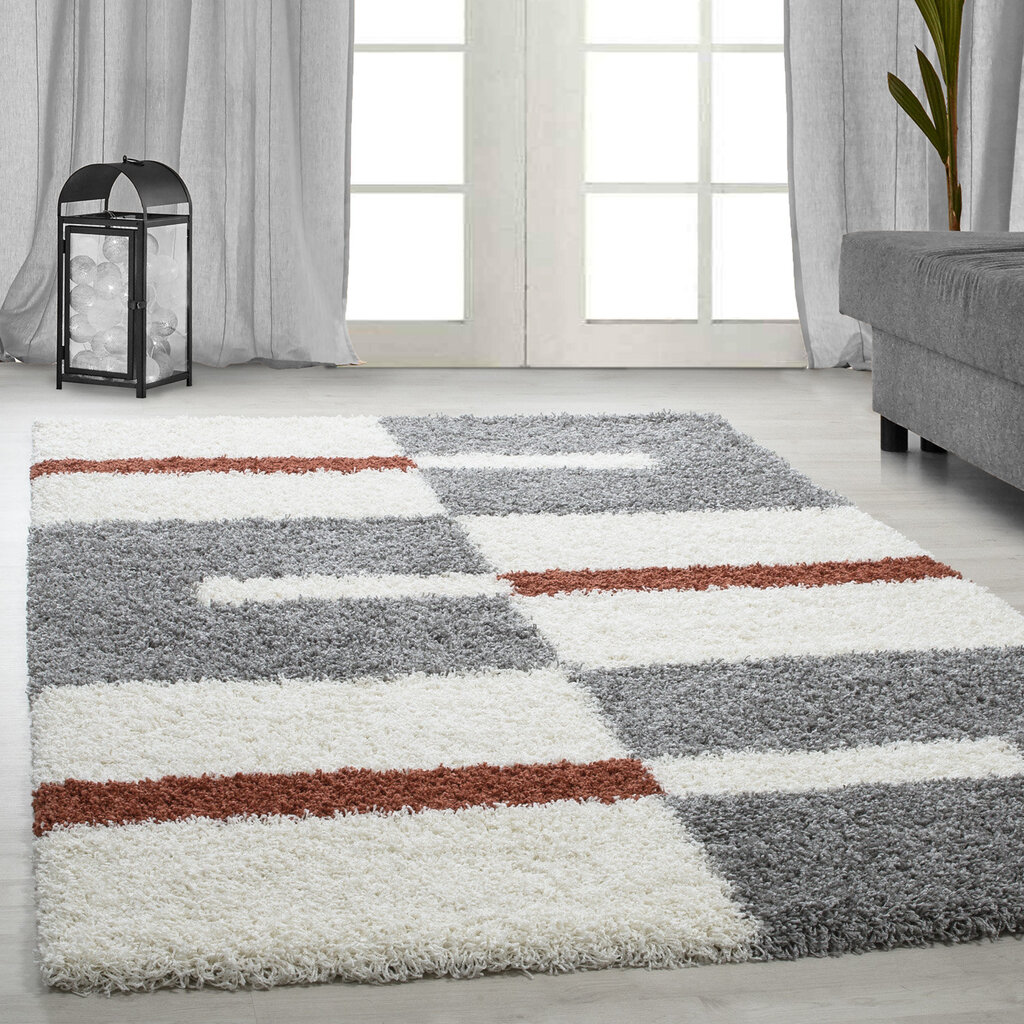 Vaip Ayyildiz Shaggy Gala Terra 2505, 120x170 cm hind ja info | Vaibad | hansapost.ee