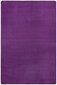 Vaip Hanse Home Fancy Purple, 133x195 cm hind ja info | Vaibad | hansapost.ee