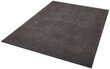 Vaip Hanse Home Pure Anthracite, 160x240 cm hind ja info | Vaibad | hansapost.ee