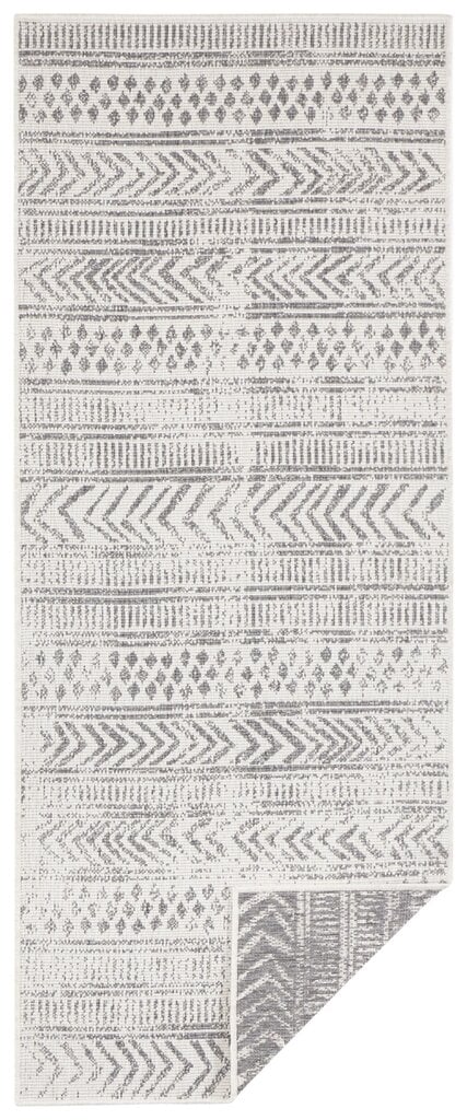 NORTHRUGS kahepoolne õuevaip Biri, 200x290 cm hind ja info | Vaibad | hansapost.ee