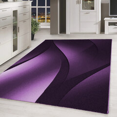 Ayyildiz vaip Plus Lila 8010, 80x300 cm hind ja info | Vaibad | hansapost.ee