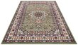 Vaip Nouristan Mirkan Parun Tabriz 80x150 cm, roheline цена и информация | Vaibad | hansapost.ee