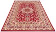 Vaip Nouristan Mirkan Parun Tabriz 80x150 cm, punane цена и информация | Vaibad | hansapost.ee