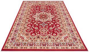 Vaip Nouristan Mirkan Parun Tabriz 120x170 cm, punane price and information | Vaibad | hansapost.ee