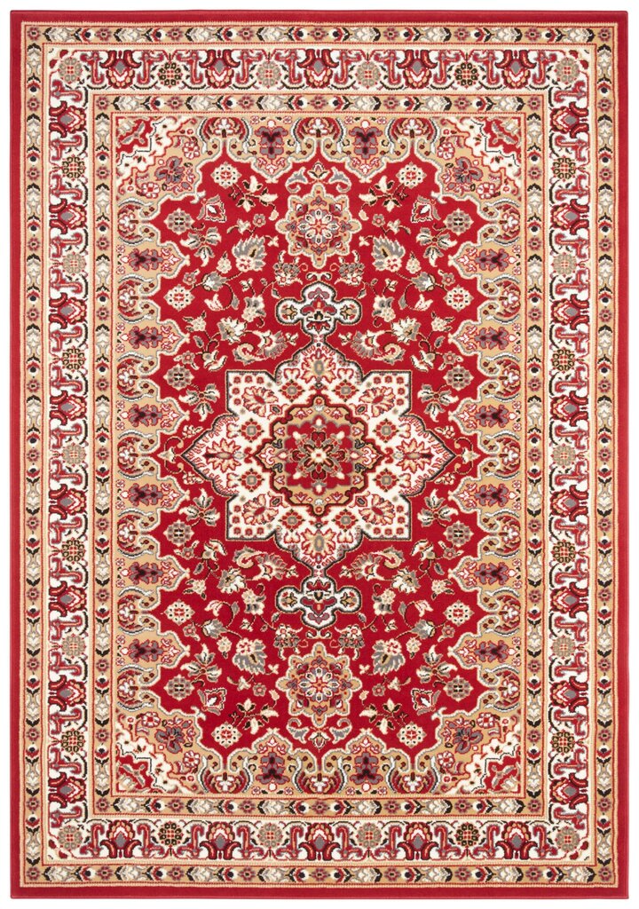 Vaip Nouristan Mirkan Parun Tabriz 120x170 cm, punane hind ja info | Vaibad | hansapost.ee