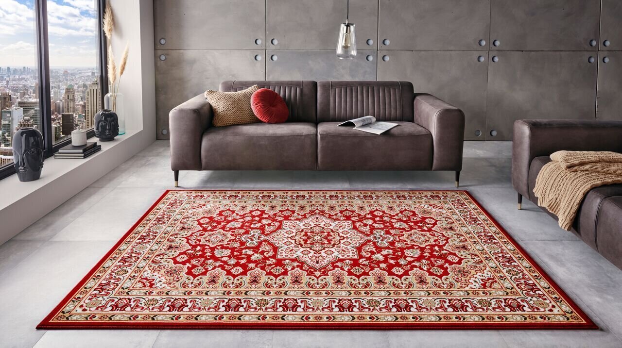 Vaip Nouristan Mirkan Parun Tabriz 120x170 cm, punane hind ja info | Vaibad | hansapost.ee