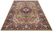 Vaip Nouristan Mirkan Skazar Isfahan 120x170 cm, roheline hind ja info | Vaibad | hansapost.ee