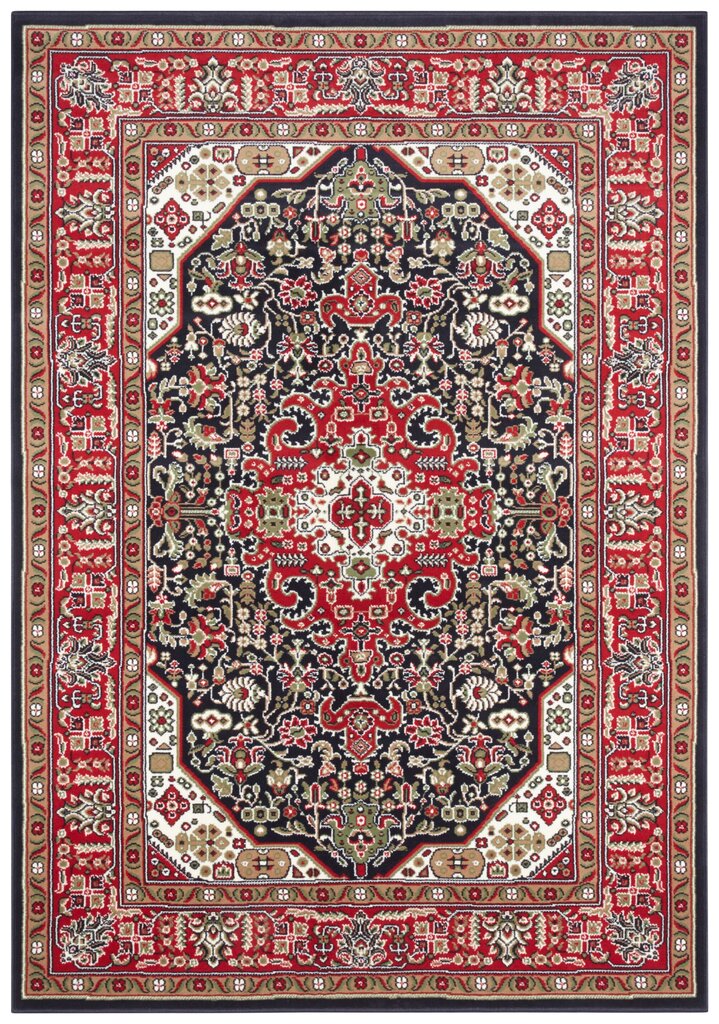 Vaip Nouristan Mirkan Skazar Isfahan 80x150 cm, punane цена и информация | Vaibad | hansapost.ee