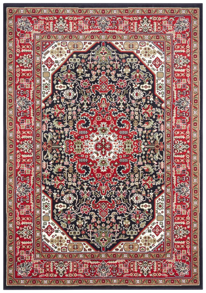 Vaip Nouristan Mirkan Skazar Isfahan 160x230 cm, punane цена и информация | Vaibad | hansapost.ee
