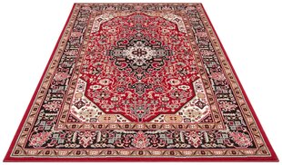 Vaip Nouristan Mirkan Skazar Isfahan 160x230 cm, punane hind ja info | Nouristan Mööbel ja sisustuskaubad | hansapost.ee