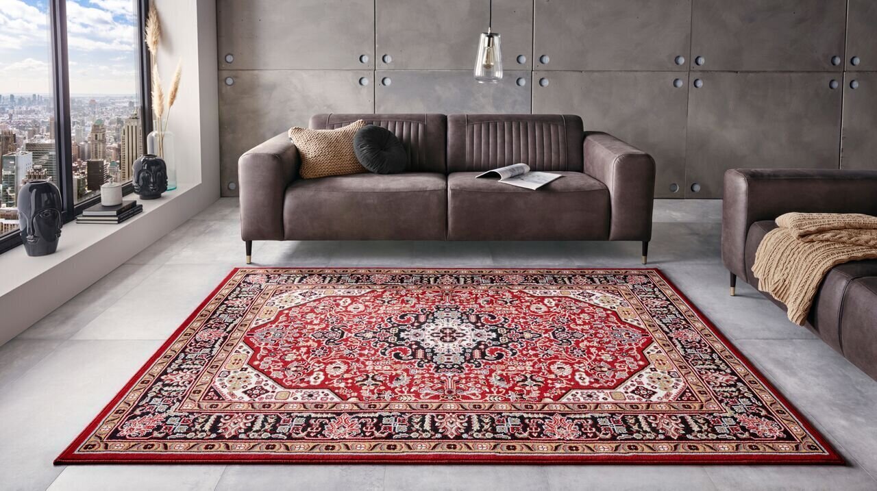 Vaip Nouristan Mirkan Skazar Isfahan 160x230 cm, punane цена и информация | Vaibad | hansapost.ee