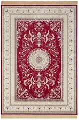 Hanse Home vaip Nouristan Naveh 195x300 cm hind ja info | Vaibad | hansapost.ee