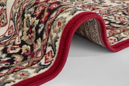 Vaip Oriental 160x220 cm цена и информация | Vaibad | hansapost.ee