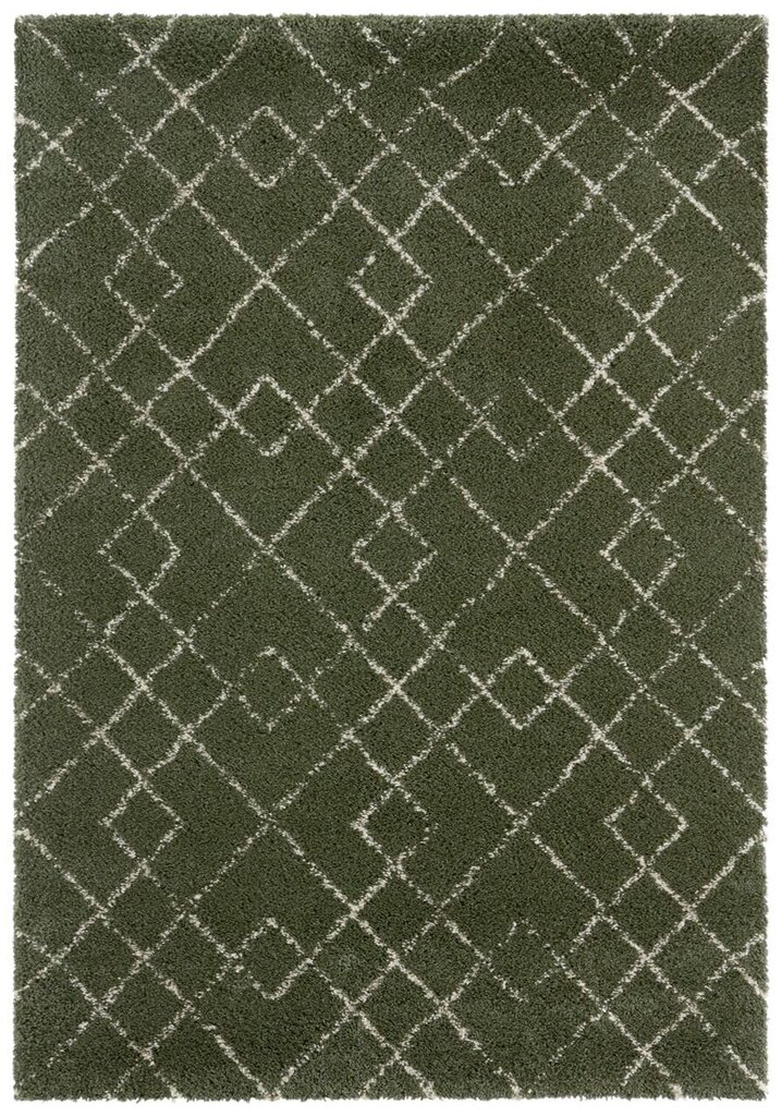 Mint Rugs vaip Allure Archer, 120x170 cm hind ja info | Vaibad | hansapost.ee