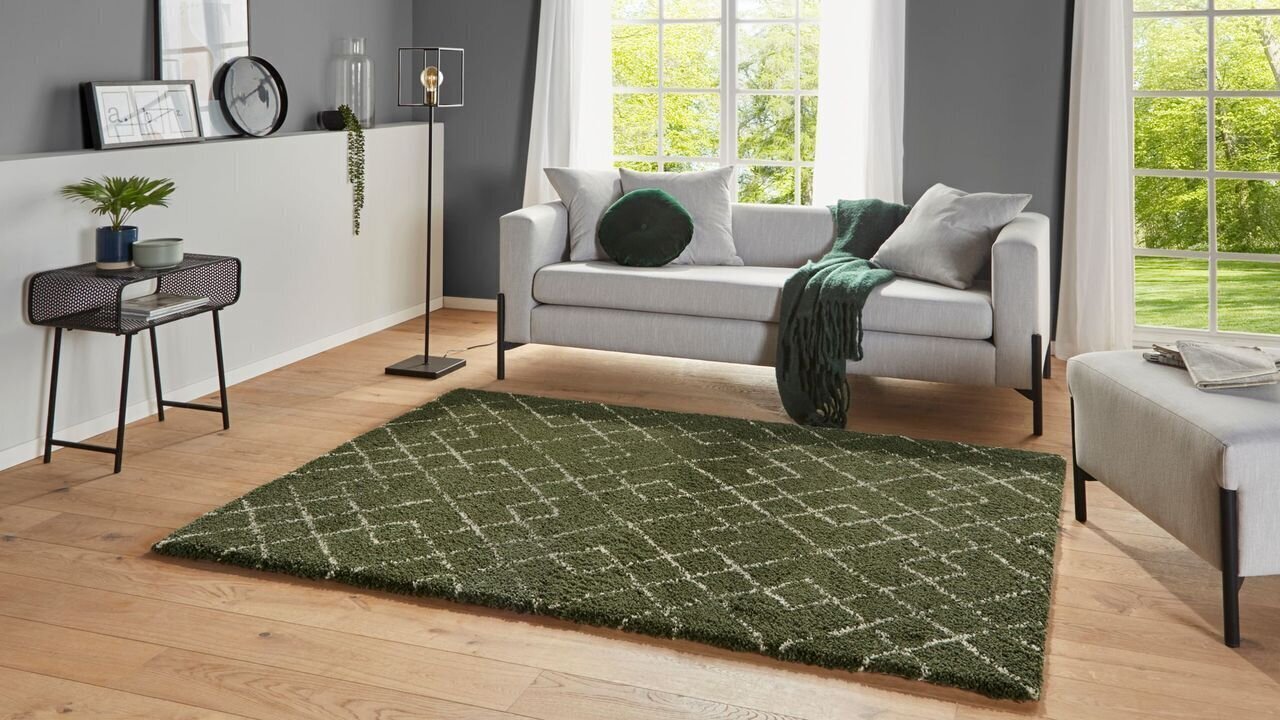 Mint Rugs vaip Allure Archer, 160x230 cm hind ja info | Vaibad | hansapost.ee