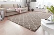 Vaip Mint Rugs Grace Luna, 120x170 cm hind ja info | Vaibad | hansapost.ee