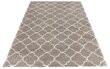 Vaip Mint Rugs Grace Luna, 200x290 cm hind ja info | Vaibad | hansapost.ee