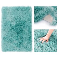 AmeliaHome vaip Dokka 75x120 cm price and information | Carpets | hansapost.ee