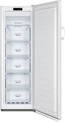 Gorenje FN4172CW hind ja info | Gorenje Külmkapid ja sügavkülmikud | hansapost.ee