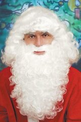 Парик и борода Деда Мороза цена и информация | Костюмы и маски | hansapost.ee