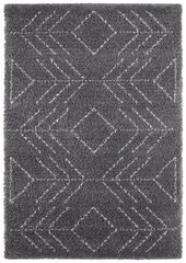 Mint Rugs vaip Retro Toboso 120x170 cm hind ja info | Vaibad | hansapost.ee