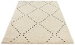 Mint Rugs vaip Retro Basay 200x290 cm hind ja info | Vaibad | hansapost.ee