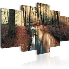 Maal - Brown autumn: forest hind ja info | Seinapildid | hansapost.ee