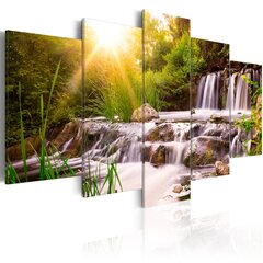 Maal - Forest Waterfall hind ja info | Seinapildid | hansapost.ee