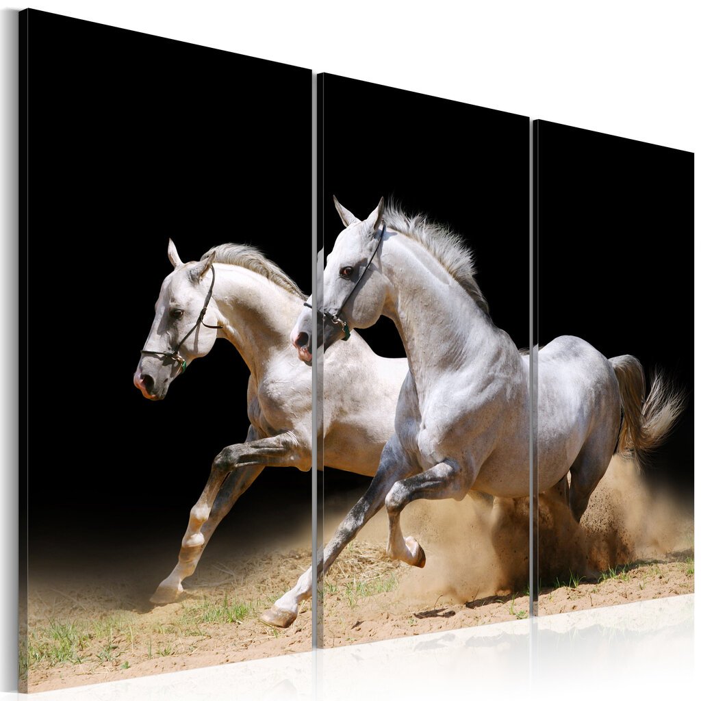 Maal - Horses- power and velocity hind ja info | Seinapildid | hansapost.ee
